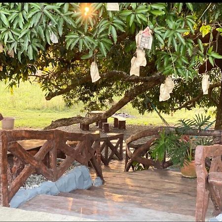 Michaels Homestay - Farm Villa Nr Patar Beach & Bolinao Falls Kültér fotó