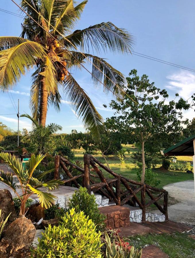 Michaels Homestay - Farm Villa Nr Patar Beach & Bolinao Falls Kültér fotó